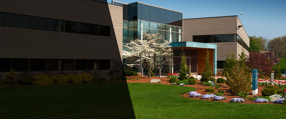 Rienzi Landscapers
