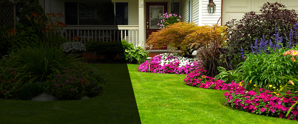 Rienzi Landscapers