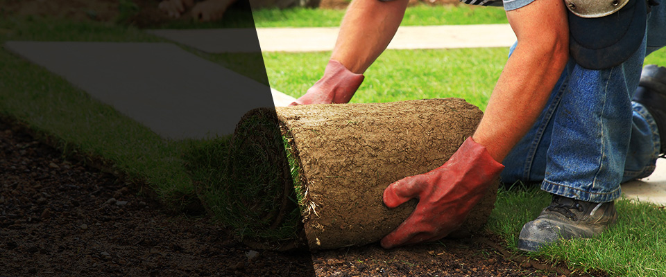 Rienzi Landscapers